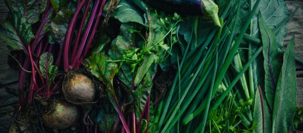 verduras